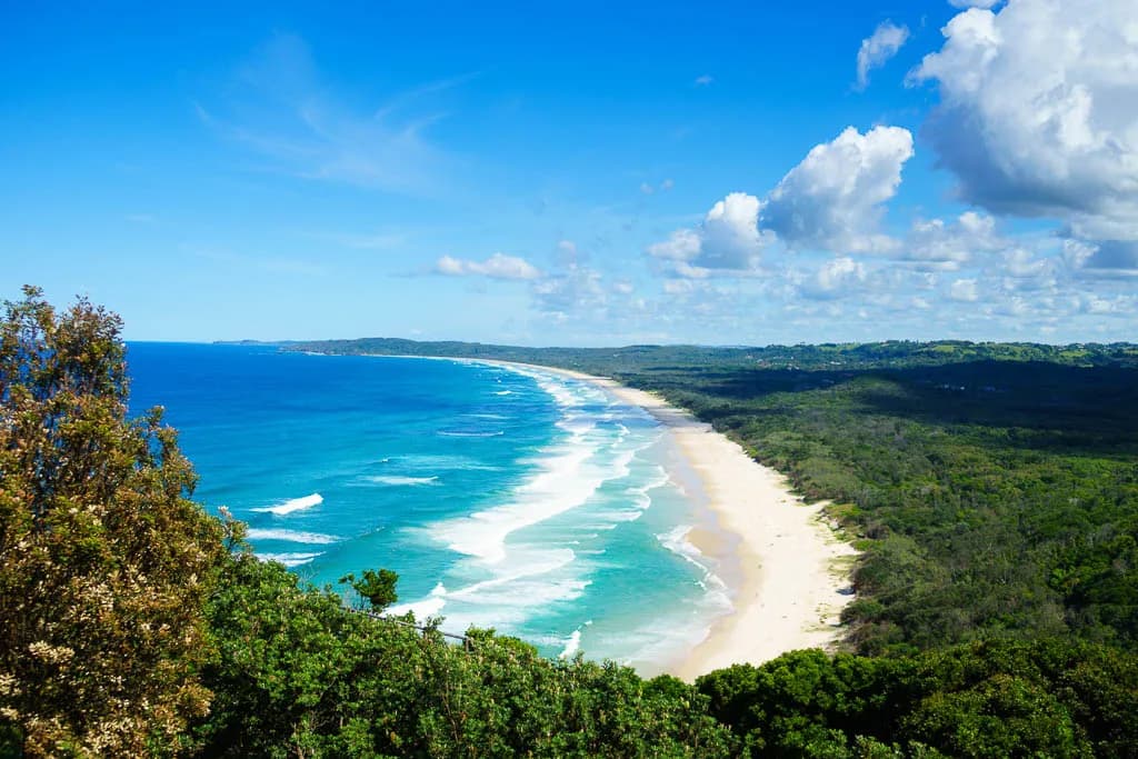 Byron Bay's Backyard Beasts: Keeping Your Pet Safe from Local Wildlife (And Knowing Help is at Hand!)