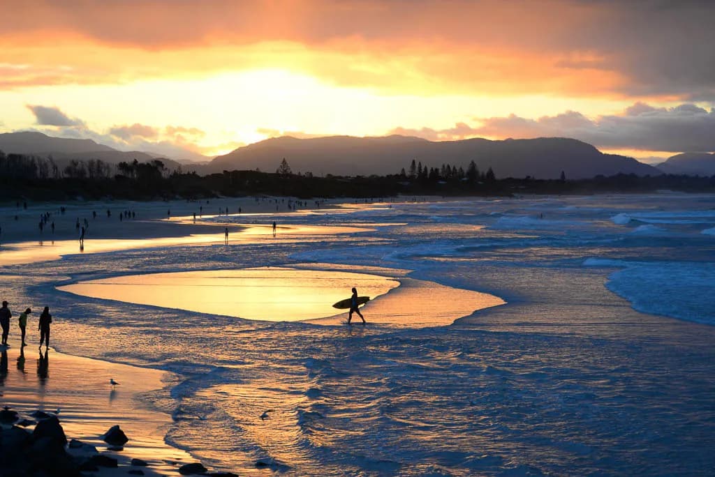 Your Accurate Guide to Dog Off-Leash Areas in Byron Bay & Surrounds (Updated March 2025)