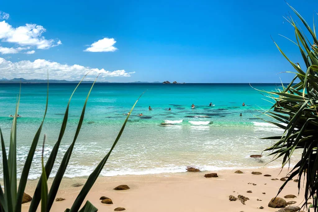 Your Essential Pet Travel & Care Guide for the Byron Bay Area