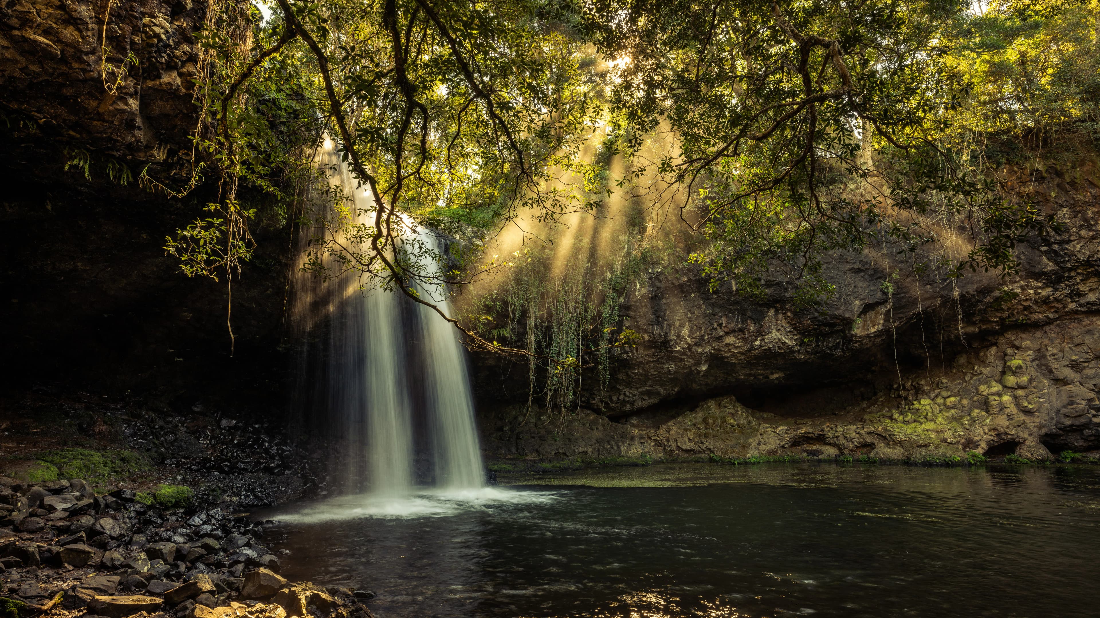 Visiting Byron Bay with Your Pet? Pet Friendly Accommodation Guide (Updated March 2025)