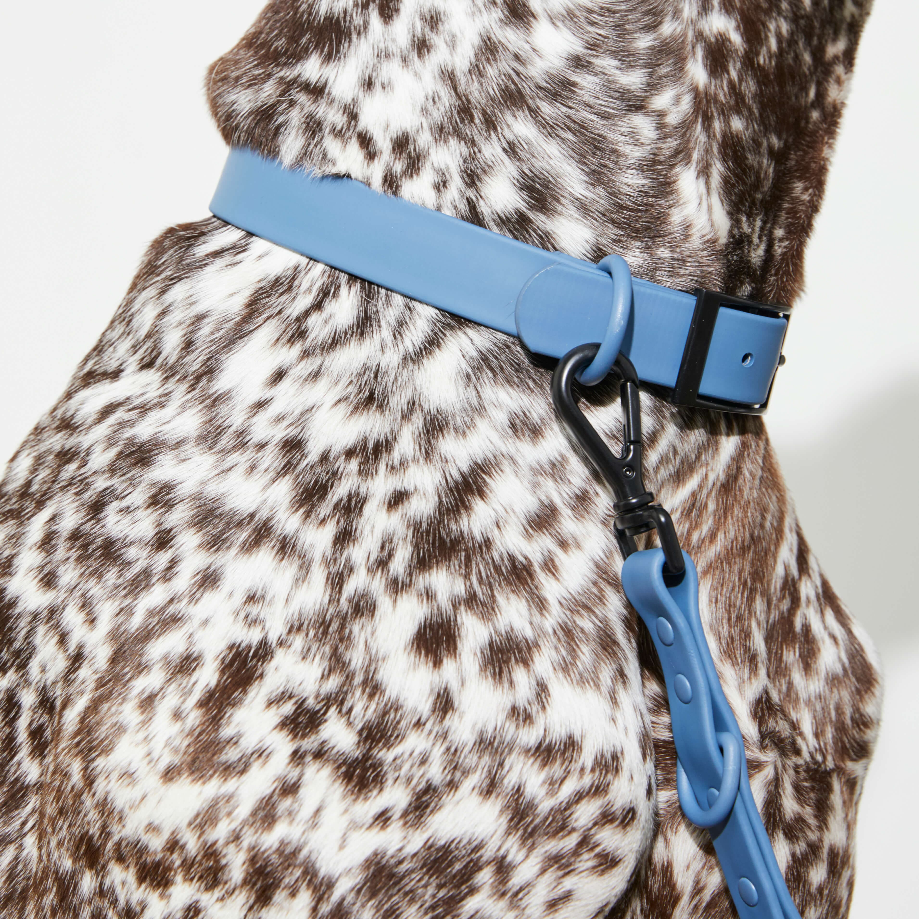 Blue Waterproof Collar - Image 3