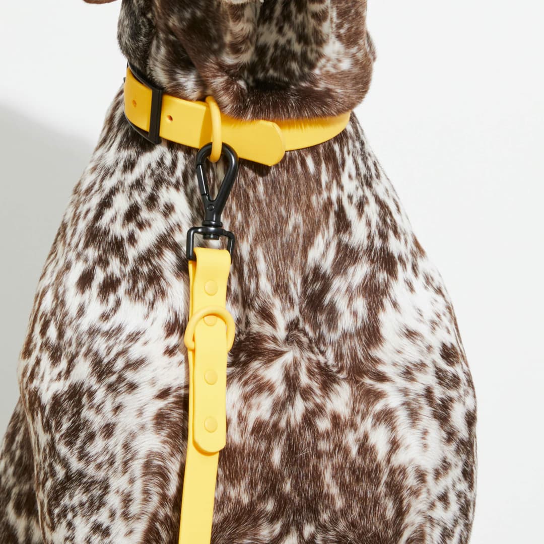 Yonder Product Image 1