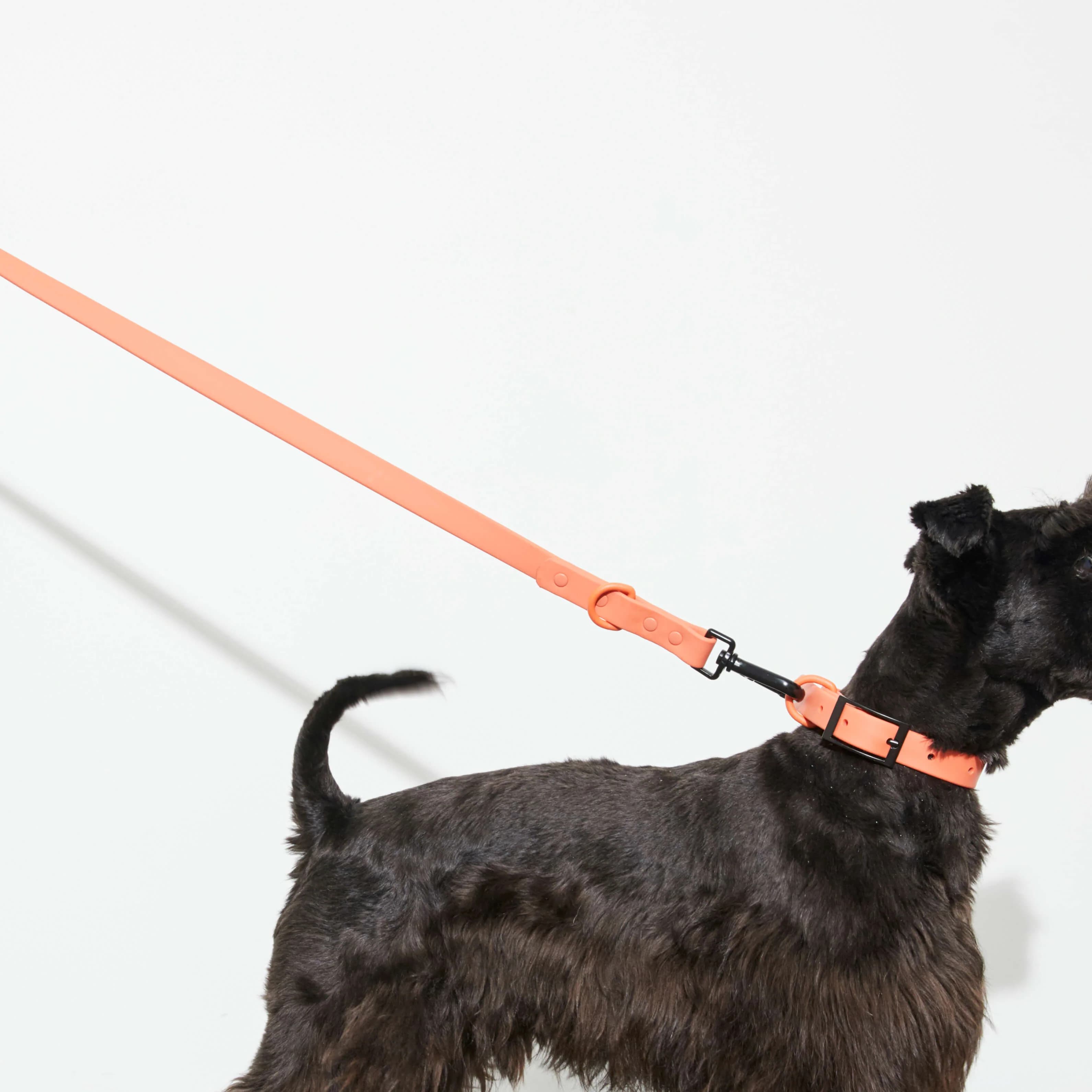 Yonder peach dog lead